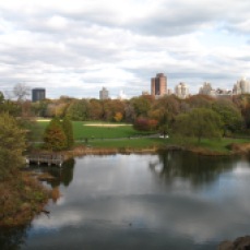 Central Park 204